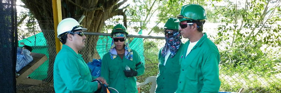 banneringenieria1